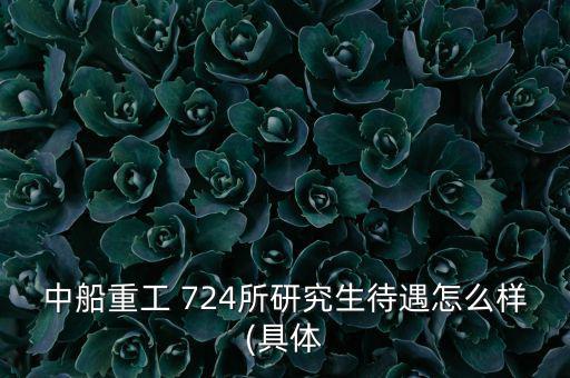 724期權怎么樣,南京724研究所的工資和待遇