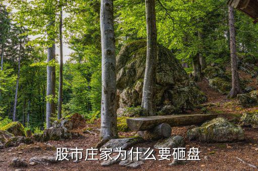 股市莊家為什么要砸盤(pán)