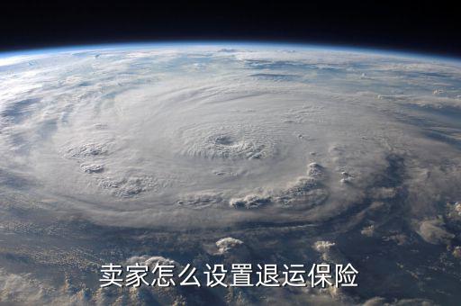 賣家怎么設置退運保險