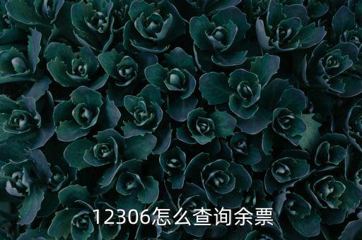  12306怎么查詢(xún)余票
