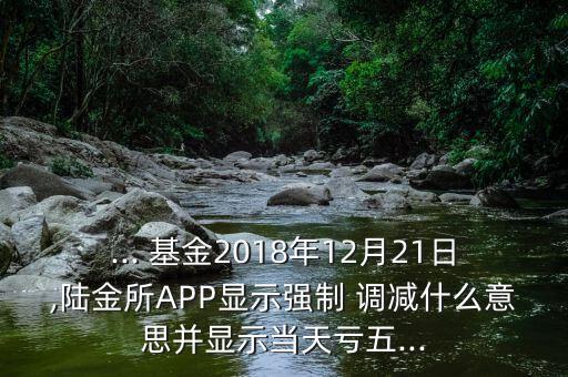 ... 基金2018年12月21日,陸金所APP顯示強制 調(diào)減什么意思并顯示當(dāng)天虧五...