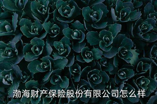  渤海財(cái)產(chǎn)保險股份有限公司怎么樣