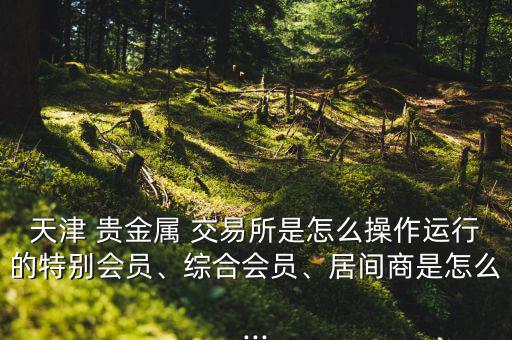 天津 貴金屬 交易所是怎么操作運(yùn)行的特別會(huì)員、綜合會(huì)員、居間商是怎么...