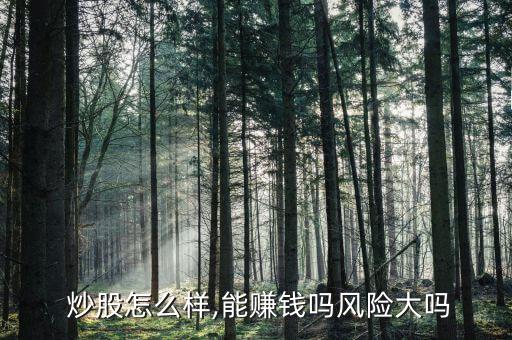  炒股怎么樣,能賺錢(qián)嗎風(fēng)險(xiǎn)大嗎