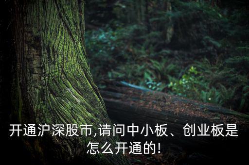 開通滬深股市,請(qǐng)問中小板、創(chuàng)業(yè)板是怎么開通的!