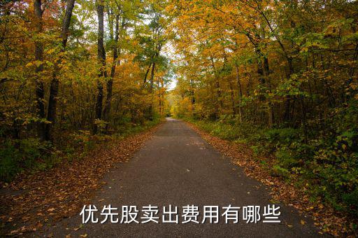 優(yōu)先股怎么交易,優(yōu)先股可以先于普通股獲得分紅