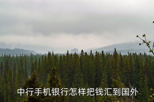  中行手機(jī)銀行怎樣把錢(qián)匯到國(guó)外