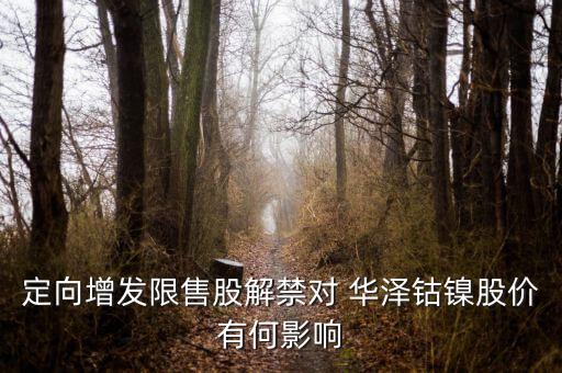 華澤鈷鎳怎么樣,鎳礦概念股:吉恩鎳業(yè)、華澤鈷鎳、恒順電氣