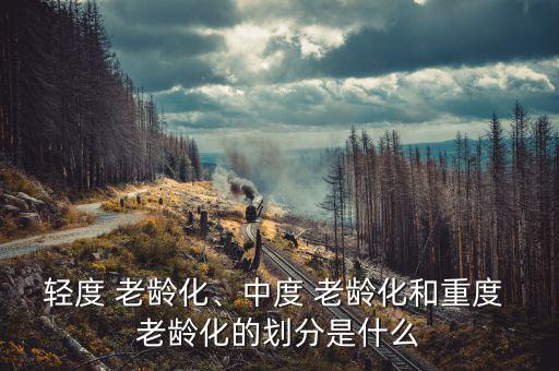 輕度 老齡化、中度 老齡化和重度 老齡化的劃分是什么