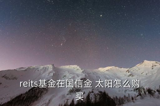 reits基金在國(guó)信金 太陽(yáng)怎么購(gòu)買