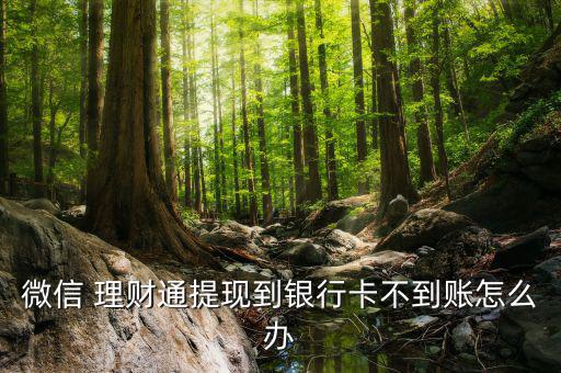 微信 理財通提現(xiàn)到銀行卡不到賬怎么辦