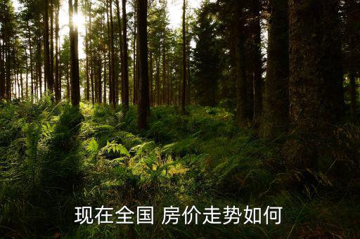 中國(guó)房?jī)r(jià)怎么了,房地產(chǎn)開發(fā)商與政府合作推出新加坡大選