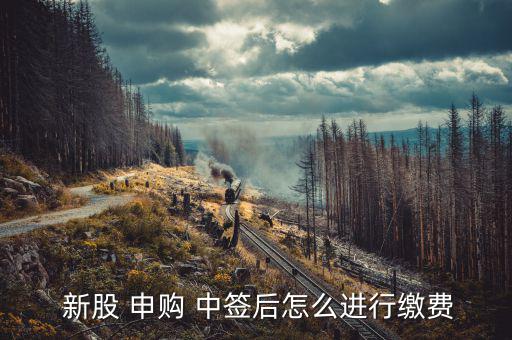  新股 申購 中簽后怎么進行繳費