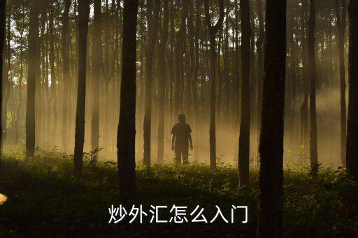 泛融9月怎么出金,正規(guī)平臺怎么選，怎么學(xué)入門?