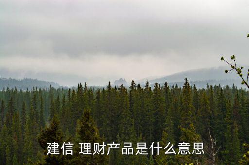  建信 理財產品是什么意思