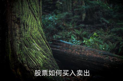  股票如何買(mǎi)入賣(mài)出