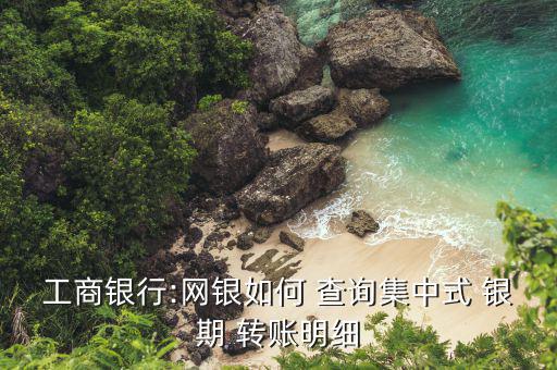工商銀行:網(wǎng)銀如何 查詢集中式 銀期 轉(zhuǎn)賬明細
