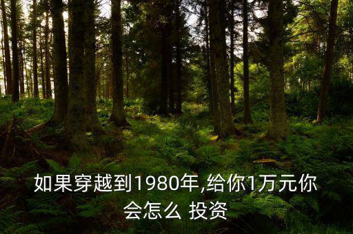 如果穿越到1980年,給你1萬(wàn)元你會(huì)怎么 投資