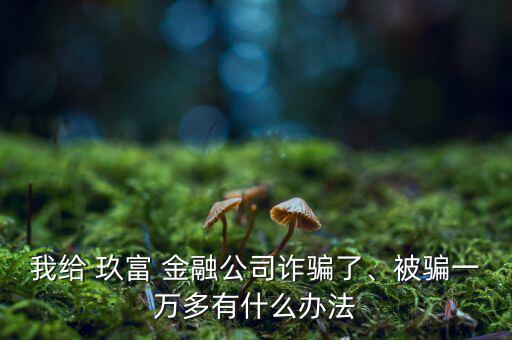 我給 玖富 金融公司詐騙了、被騙一萬多有什么辦法