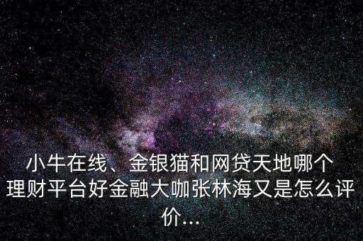  小牛在線、金銀貓和網(wǎng)貸天地哪個 理財平臺好金融大咖張林海又是怎么評價...