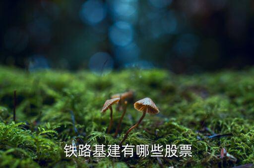 鐵路軌道標(biāo)準(zhǔn)股怎么找,所以地鐵是專(zhuān)屬通行權(quán)沒(méi)有平交道口