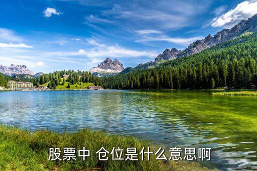  股票中 倉(cāng)位是什么意思啊