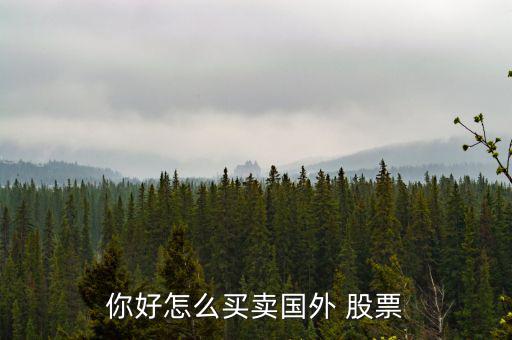 你好怎么買賣國(guó)外 股票