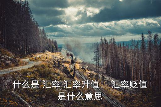 什么是 匯率 匯率升值、 匯率貶值是什么意思