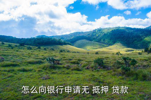 免抵押貸款是怎么貸,抵押貸款、擔(dān)保貸款一般略高于-0貸款