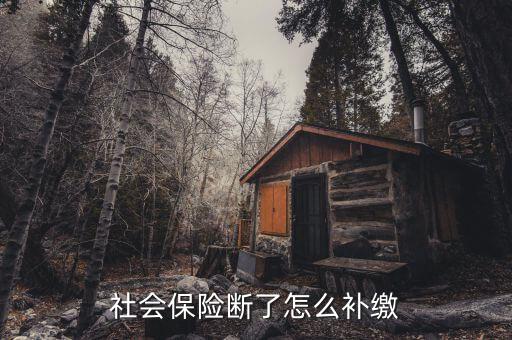 社會保險斷了怎么補(bǔ)繳