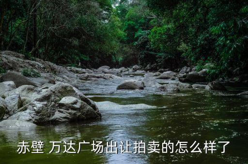 赤壁 萬達廣場出讓拍賣的怎么樣了