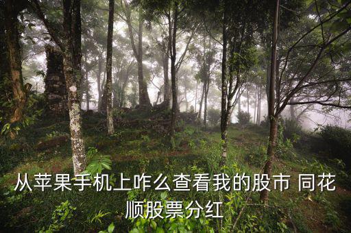 從蘋(píng)果手機(jī)上咋么查看我的股市 同花順股票分紅