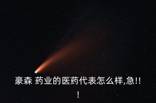 藥業(yè)貸怎么樣,豪森年銷售額80億對付非流動(dòng)資產(chǎn)實(shí)際情況