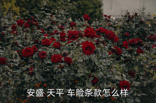 天平保險(xiǎn)車(chē)險(xiǎn)怎么樣,axa天平車(chē)險(xiǎn)優(yōu)勢(shì)在于專(zhuān)業(yè)保障和價(jià)格上