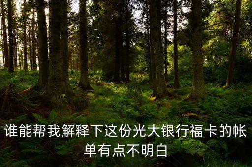 光大的賬單明細(xì)都什么意思，誰能幫我解釋下這份光大銀行?？ǖ膸斡悬c不明白
