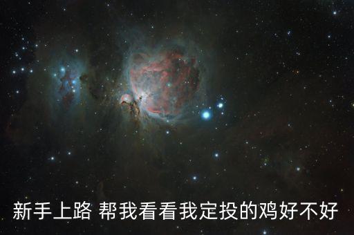 養(yǎng) 雞 定投有什么好處，新手上路 幫我看看我定投的雞好不好