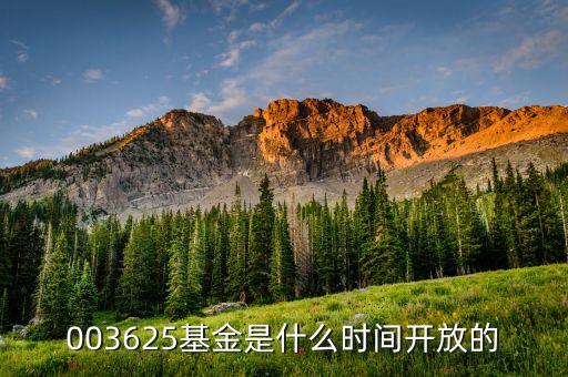 001815什么時(shí)候開(kāi)放，003625基金是什么時(shí)間開(kāi)放的