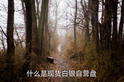 現(xiàn)貨盤(pán)是什么，國(guó)際盤(pán)現(xiàn)貨是什么意思