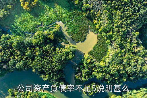資產(chǎn)負債率低說明什么，資產(chǎn)負債率很低說明什么問題