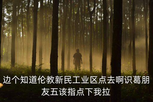 李葛衛(wèi)為什么入新民科技，邊個知道倫教新民工業(yè)區(qū)點去啊識葛朋友五該指點下我拉