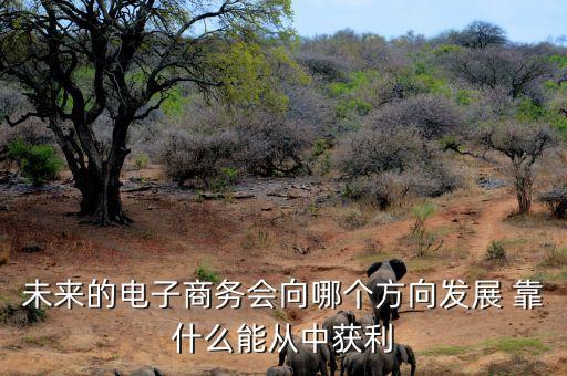 未來電商什么會掙錢，未來的電子商務會向哪個方向發(fā)展 靠什么能從中獲利