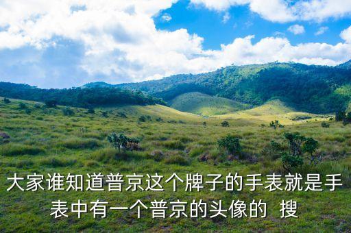 普京皮帶是什么牌子，大家誰(shuí)知道普京這個(gè)牌子的手表就是手表中有一個(gè)普京的頭像的  搜