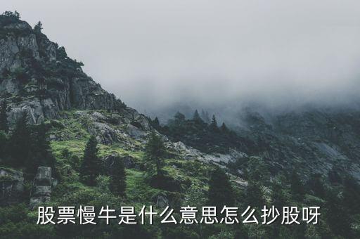 慢牛走勢是什么意思，股票慢牛是什么意思怎么抄股呀