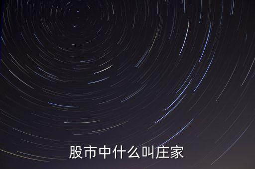 什么莊家股票，股票的莊家是指