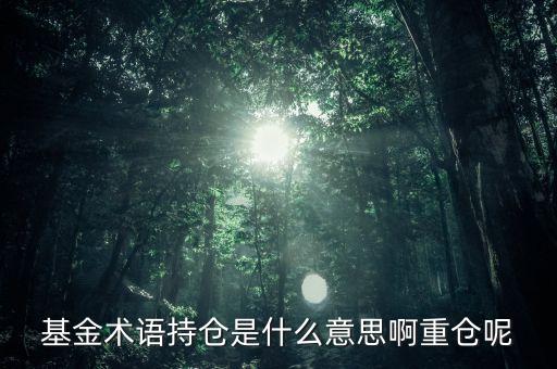 etf持倉是什么意思，基金術語持倉是什么意思啊重倉呢