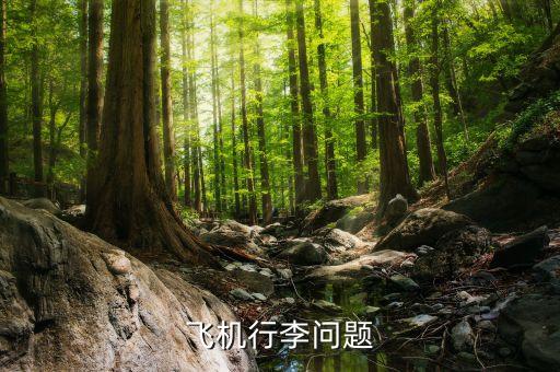 航空公司可以拒載什么傷人，憑什么飛機(jī)可以拒載