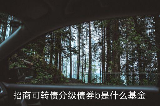 轉(zhuǎn)債b級是什么，招商可轉(zhuǎn)債分級債券b 場內(nèi)買入 場外賣出什么意思