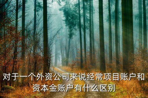 對(duì)于一個(gè)外資公司來(lái)說(shuō)經(jīng)常項(xiàng)目賬戶和資本金賬戶有什么區(qū)別