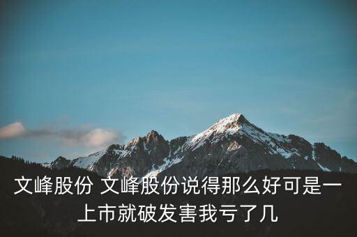 文峰股份是什么公司，文峰股份怎么樣