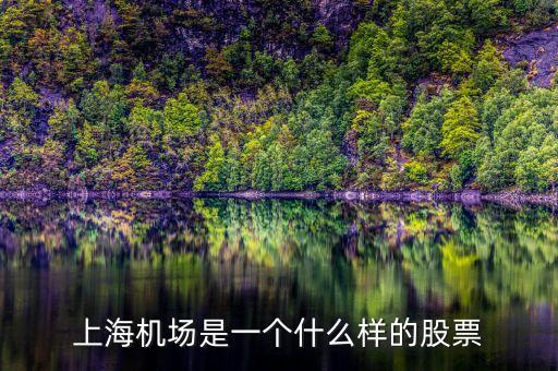 上海機(jī)場(chǎng)股票屬于什么股票，上海機(jī)場(chǎng)屬于什么行業(yè)的股票